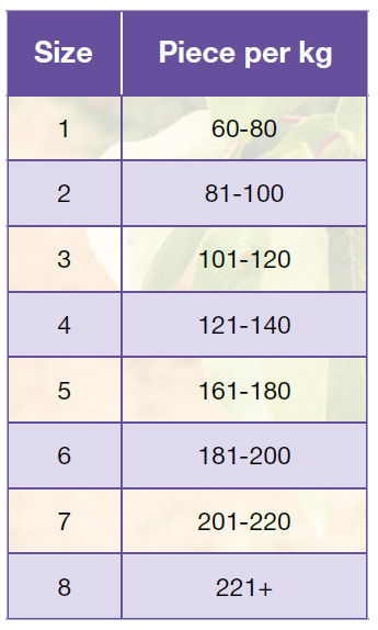 apricot chart