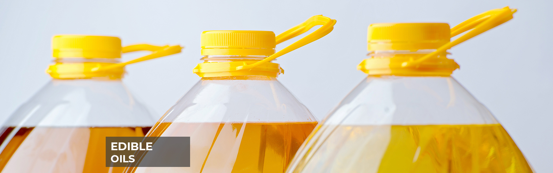 edible oils