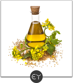 edible oils