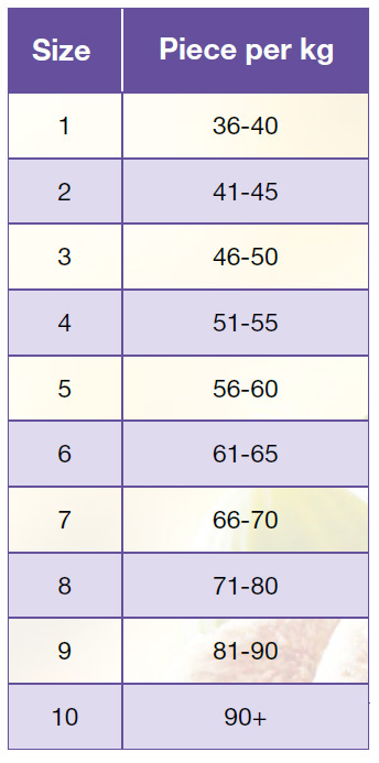 fig chart