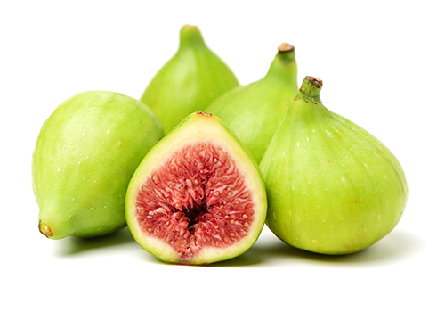 fig2